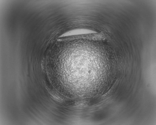 X0000056370175200509161904