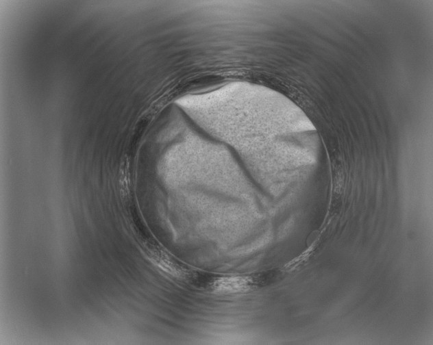 X0000056370179200509161904