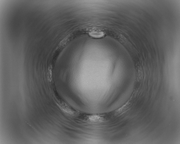 X0000056370183200509161904