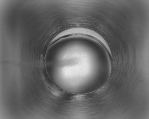 X0000056370184200509161904