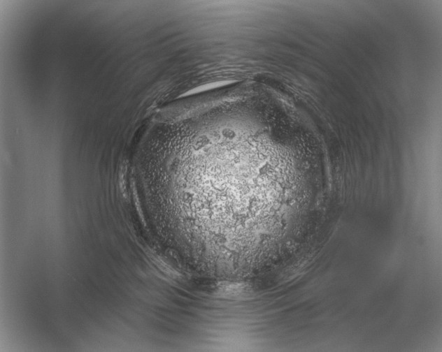 X0000056370185200509161904