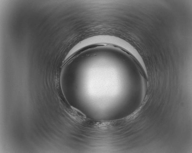 X0000056370186200509161904