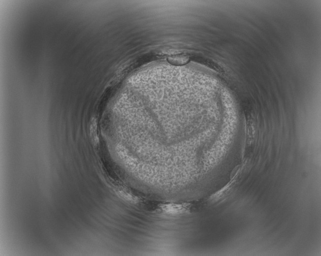 X0000056370187200509161904