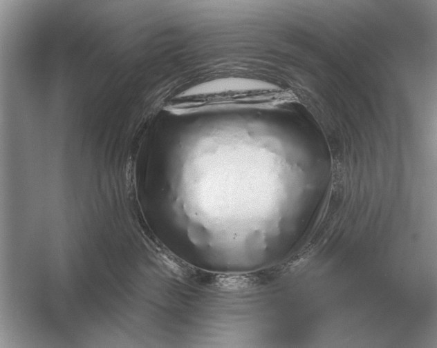 X0000056370189200509161904