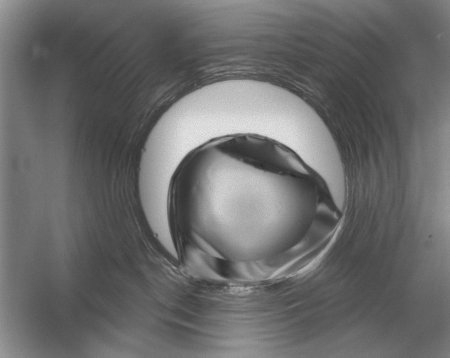 X0000056370190200509161904