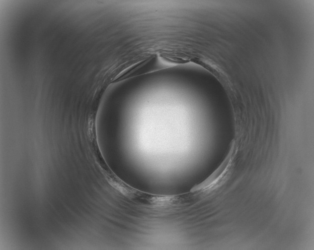 X0000056370192200509161904