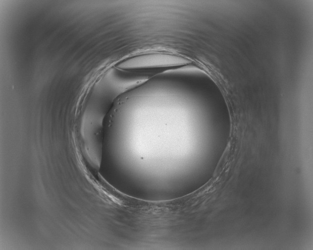 X0000056370193200509161903