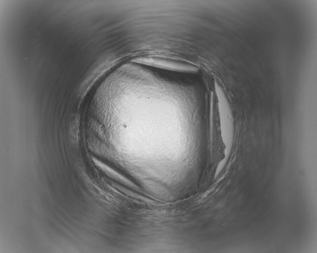 X0000056370194200509161903