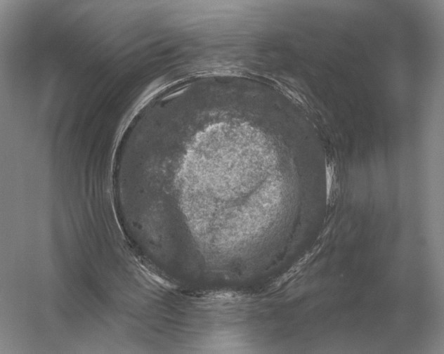 X0000056370195200509161903