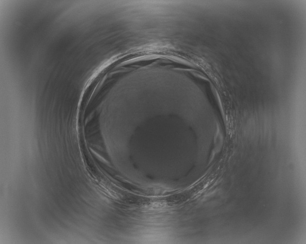 X0000056370196200509161903