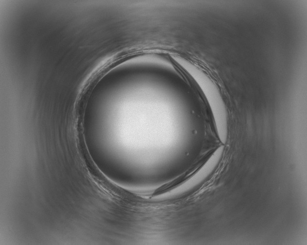 X0000056370197200509161903