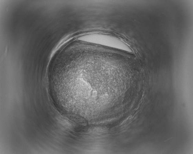 X0000056370198200509161903