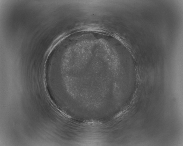 X0000056370199200509161903