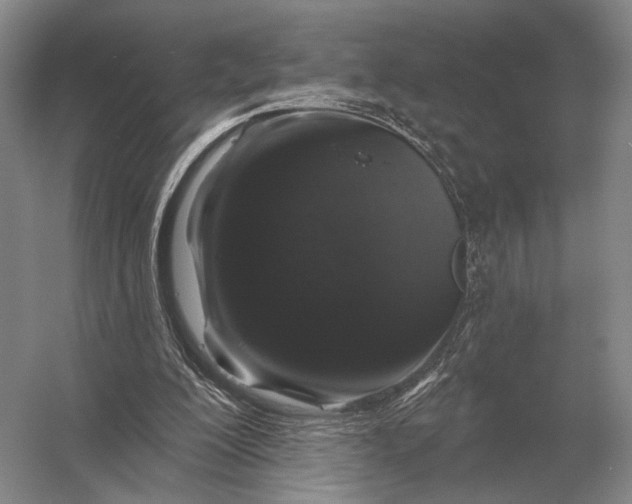 X0000056370200200509161903