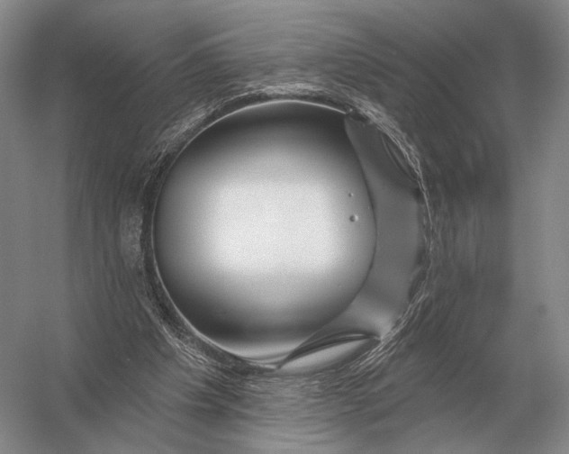 X0000056370201200509161903