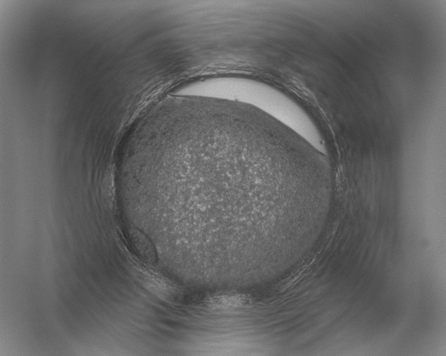 X0000056370202200509161903