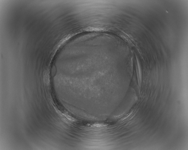 X0000056370204200509161903