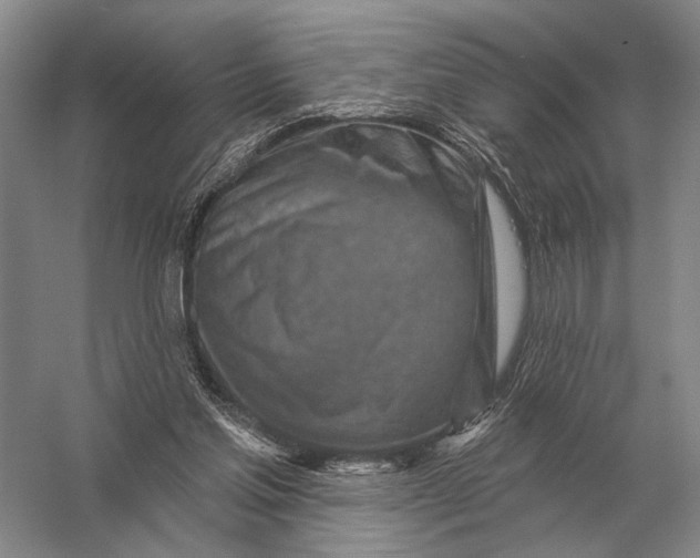 X0000056370205200509161903