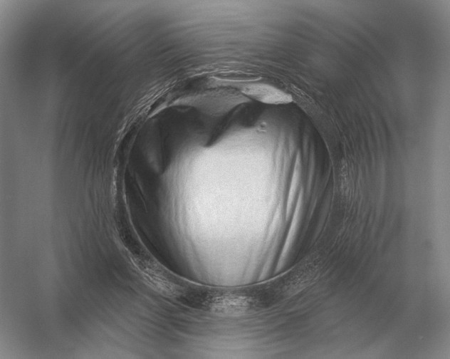 X0000056370206200509161903