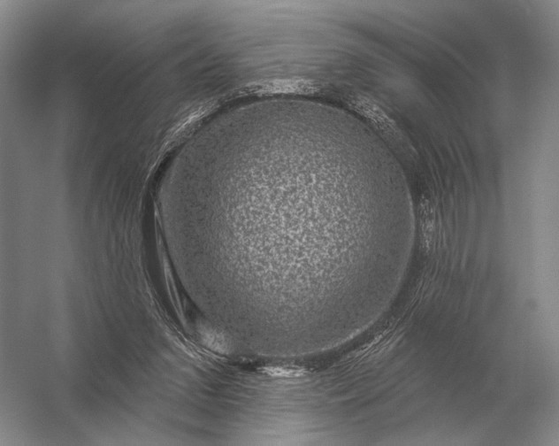 X0000056370207200509161903