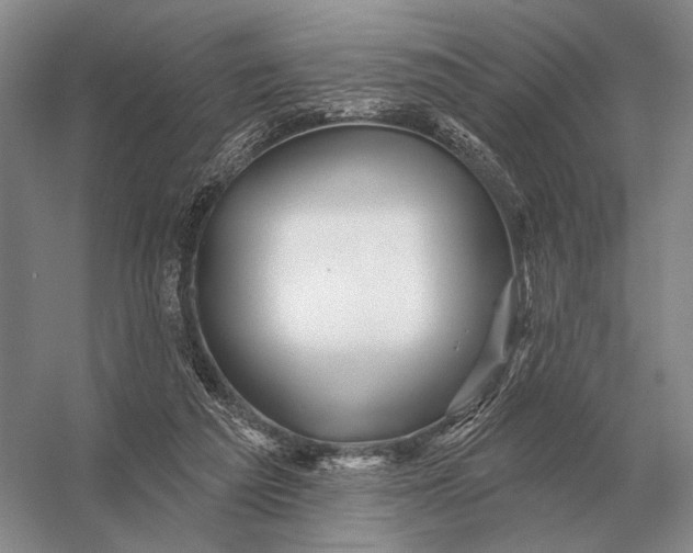 X0000056370209200509161903