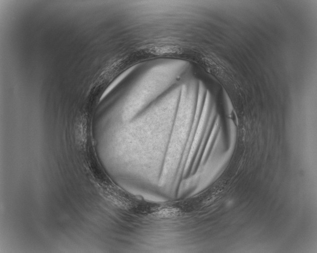 X0000056370210200509161903