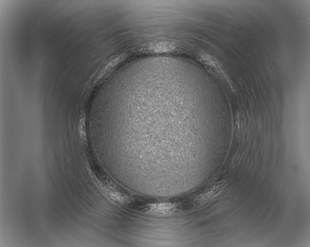 X0000056370212200509161903