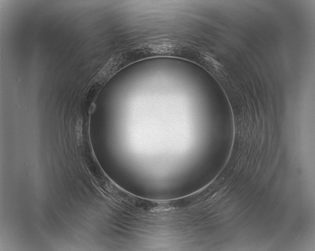 X0000056370213200509161903