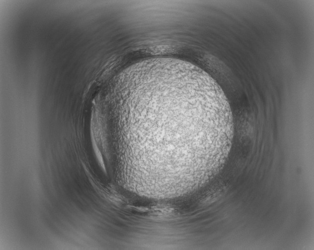 X0000056370214200509161903