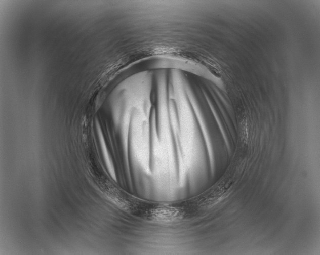 X0000056370215200509161903