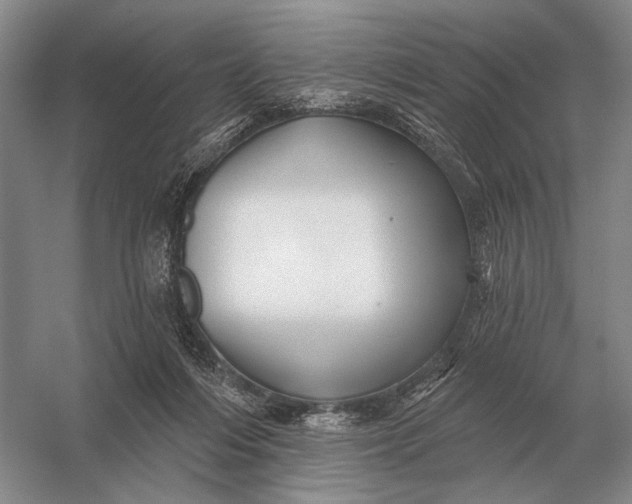 X0000056370216200509161903