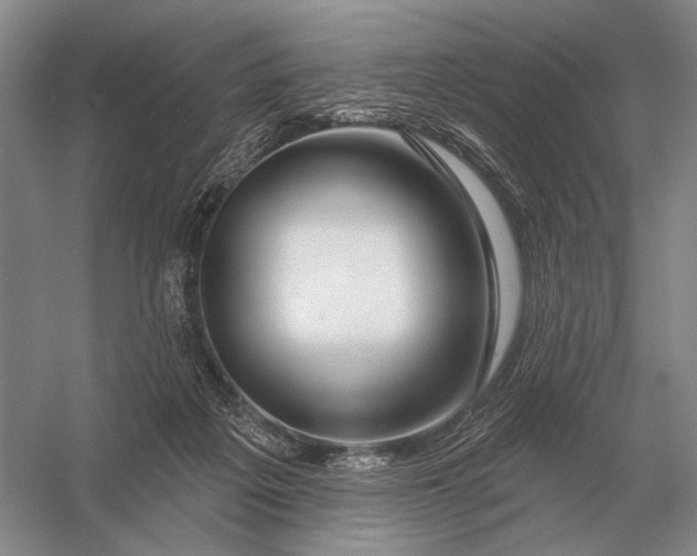 X0000056370217200509161903