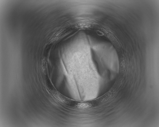 X0000056370218200509161903