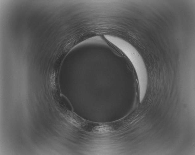 X0000056370219200509161903