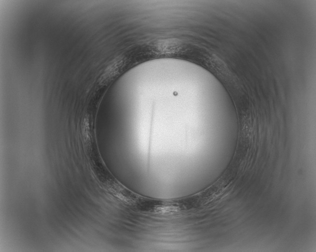 X0000056370220200509161903