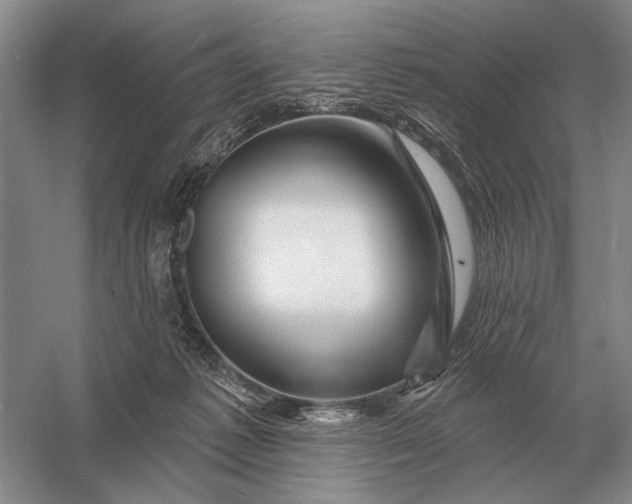 X0000056370221200509161903