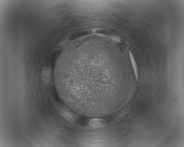 X0000056370222200509161903