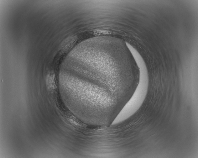 X0000056370224200509161903