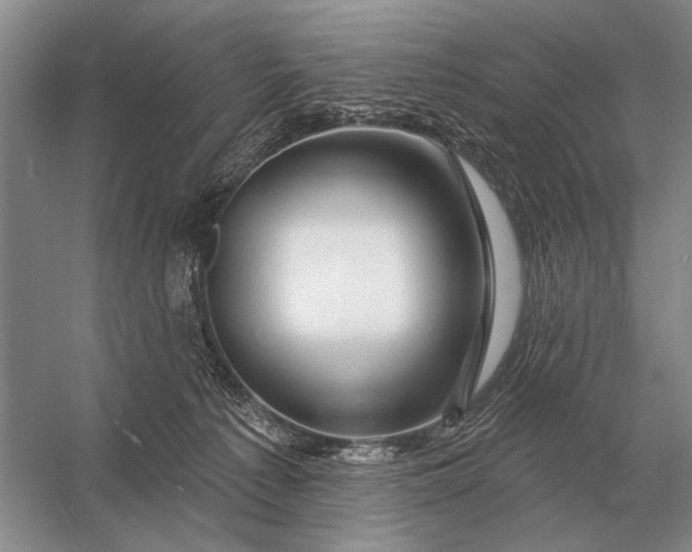 X0000056370225200509161903