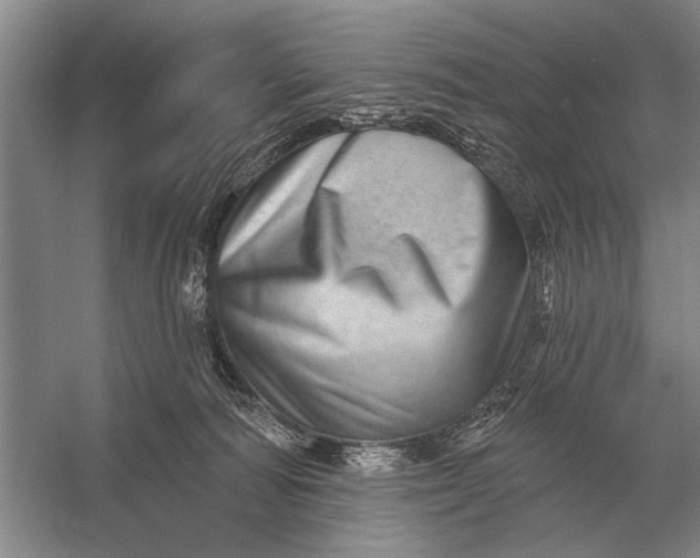 X0000056370226200509161903