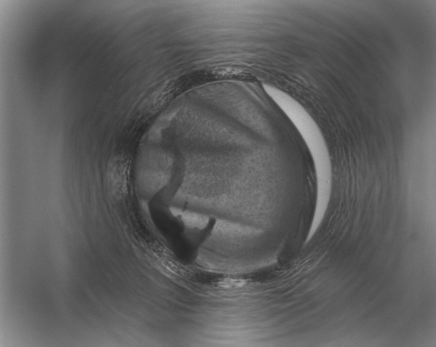 X0000056370227200509161903