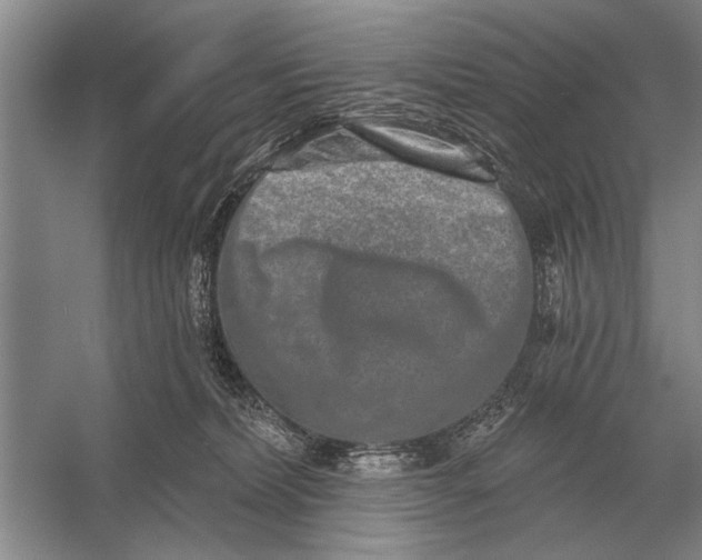 X0000056370228200509161903