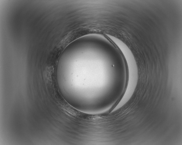 X0000056370229200509161903