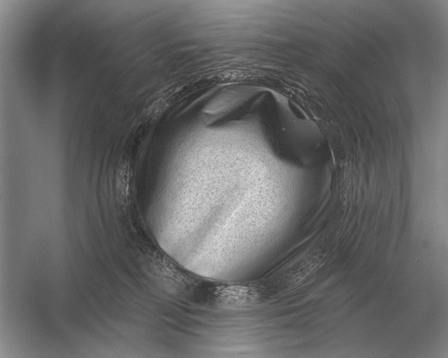 X0000056370230200509161902