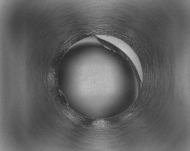 X0000056370231200509161902