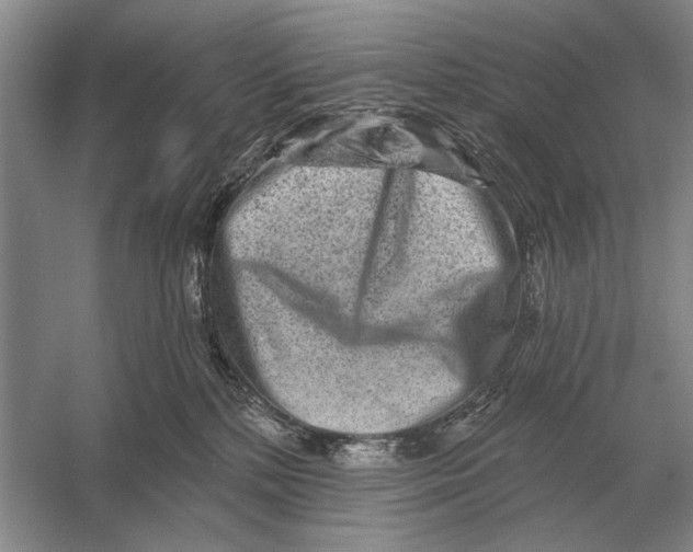 X0000056370232200509161902