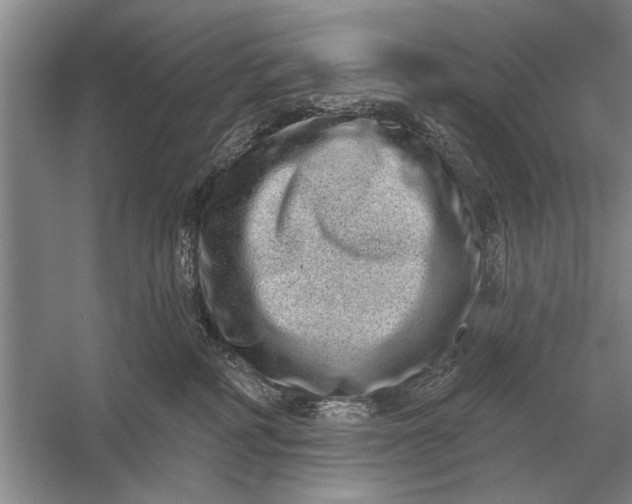 X0000056370234200509161902