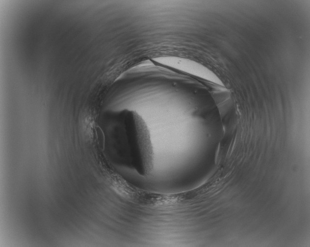 X0000056370235200509161902