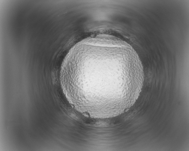 X0000056370236200509161902