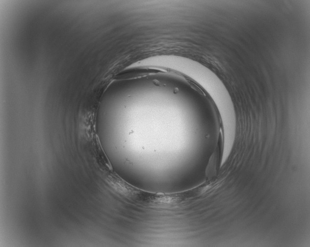 X0000056370237200509161902